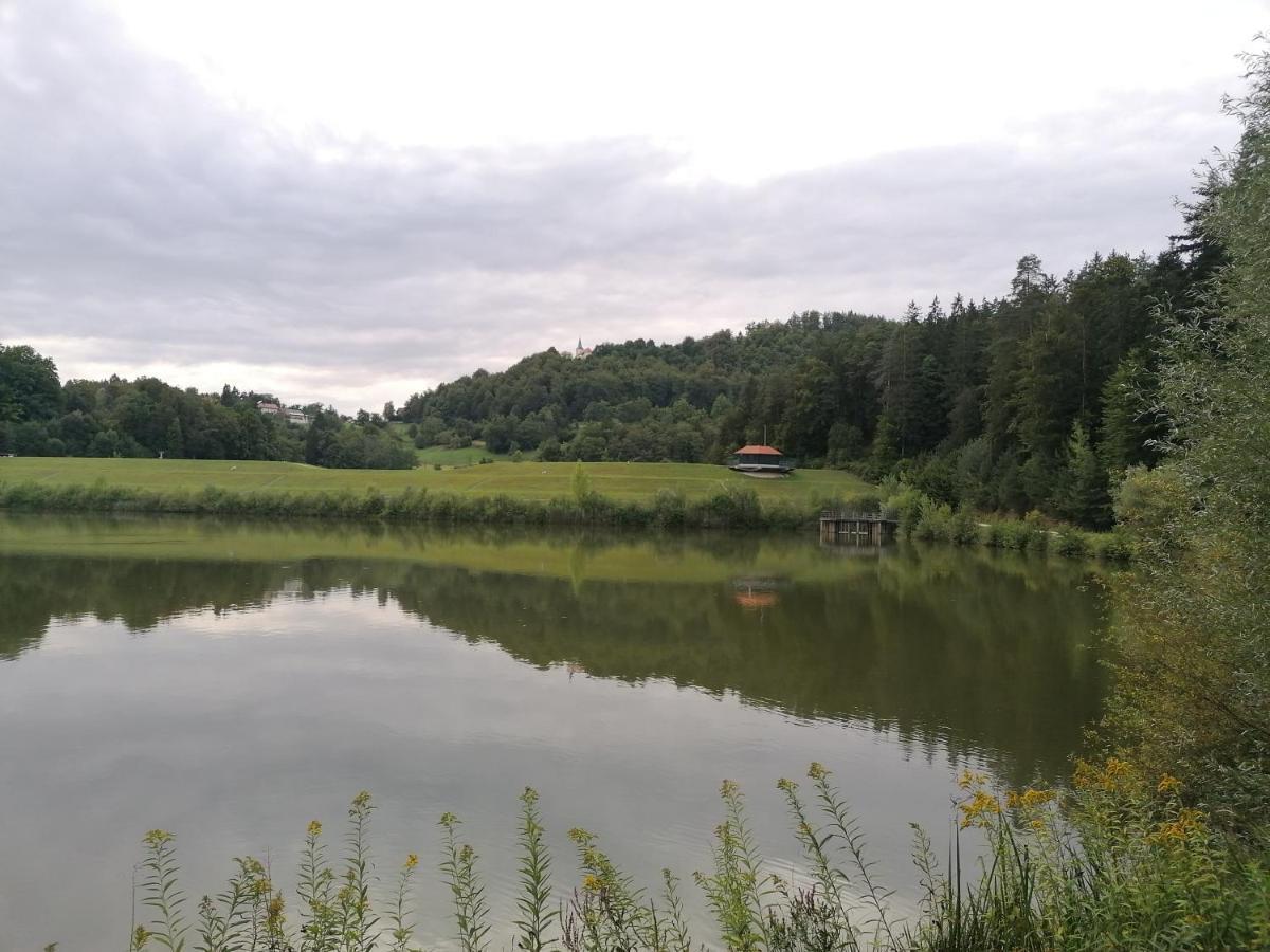 Apartments Bukor Lukovica pri Domžalah Exteriör bild